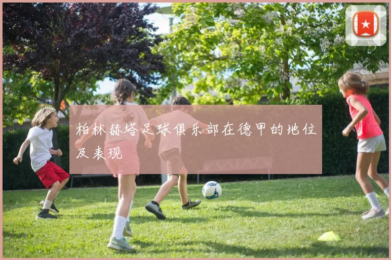 柏林赫塔足球俱乐部在德甲的地位及表现