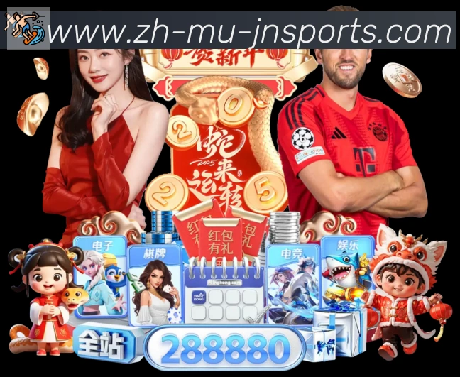 未来规划